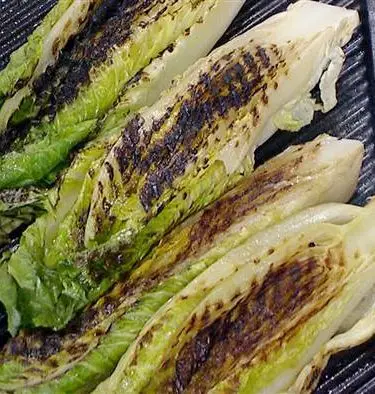 Grilled Romaine and Shrimp With Lemon Olive Oil Salad Recipe