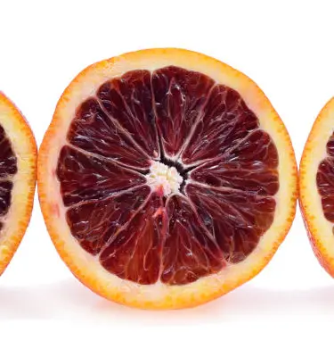 Infused Extra Virgin Olive Oil | <b>Blood Orange</b> | 250ml 12/cs Wholesale