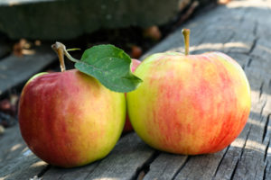 Flavor Infused Balsamic Vinegar | <b>Apple</b> | Sample | 4ml/1.5oz