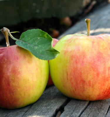 Flavor Infused Balsamic Vinegar | <b>Apple</b> | Sample | 4ml/1.5oz
