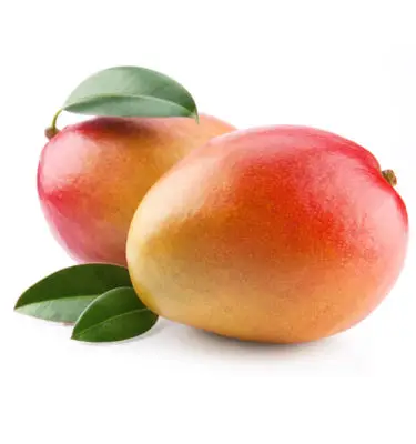 Infused Balsamic Vinegar | <b>Mango</b> | 1/2 Gallon / 1.9 Liters