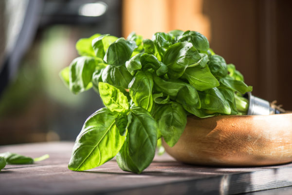 Infused Extra Virgin Olive Oil | <b>Basil</b> | All Sizes