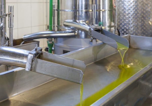 Extra Virgin Olive Oil | <b>2024 Crop</b> | 250ml/8.5oz