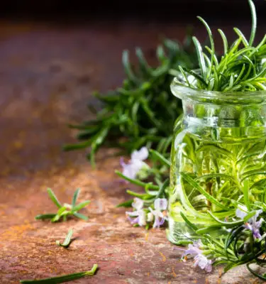Infused Extra Virgin Olive Oil | <b>Rosemary / Basil - Organic</b> | 1/2 Gallon / 1.9 Liters