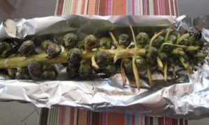 Brussel Sprouts Stalk Garlic Olive Oil Recipe