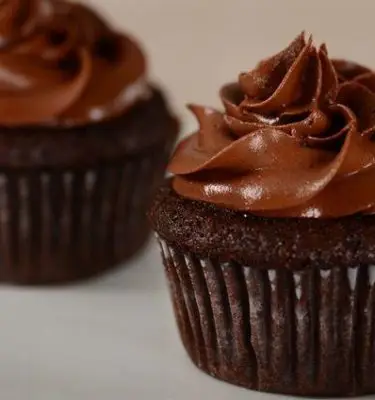 Eggless Blood Orange Olive Oil Chocolate Cupcakes Recipe