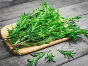 Infused Extra Virgin Olive Oil | <b>Rosemary</b> | 5 Gallon / 19 Liter