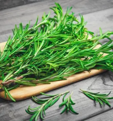 Infused Extra Virgin Olive Oil | <b>Rosemary / Basil</b> | 1/2 Gallon / 1.9 Liters
