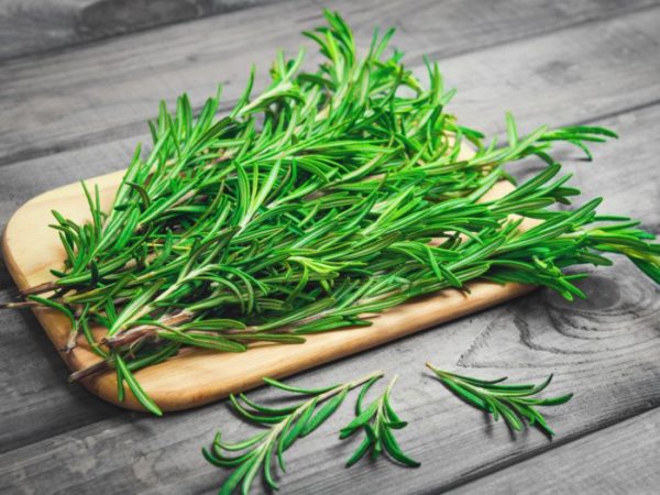 Infused Extra Virgin Olive Oil | <b>Rosemary / Basil </b> | All Sizes