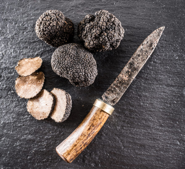 Truffle Infused Olive Oil | <b>Black Truffle</b> | 5 Gallon / 19 Liters