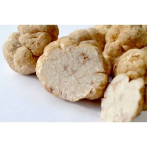 Truffle Infused Olive Oil | <b>White Truffle</b> | Sample  44ml / 1.5oz