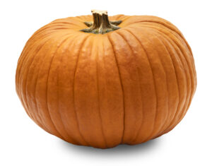 Infused Extra Virgin Olive Oil | <b>Pumpkin</b> | 1 Gallon / 3.8 Liters