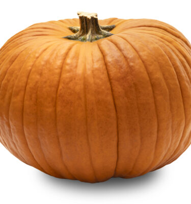 Infused Extra Virgin Olive Oil | <b>Pumpkin - Organic</b> | 1 Gallon / 3.8 Liters