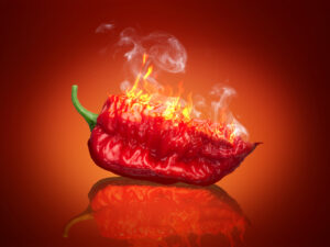 Infused Extra Virgin Olive Oil | <b>Carolina Reaper</b> | 1 Gallon / 3.8 Liters