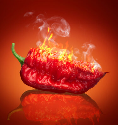 Infused Extra Virgin Olive Oil | <b>Carolina Reaper - Organic</b> | 1 Gallon / 3.8 Liters